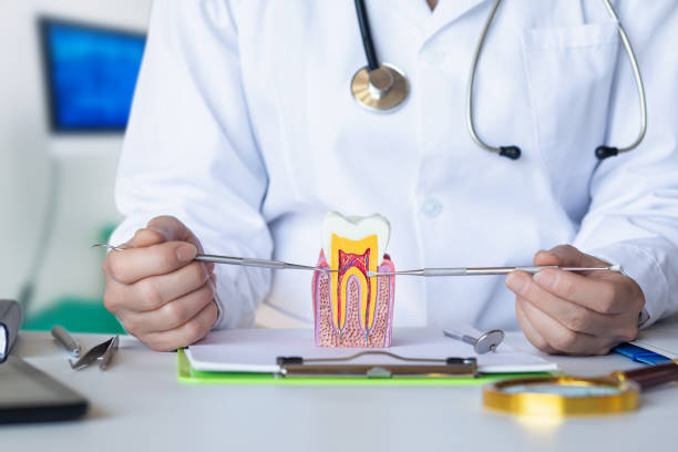 Best Emergency Dental Care for Abscessed Tooth in Eagleton Village, TN
